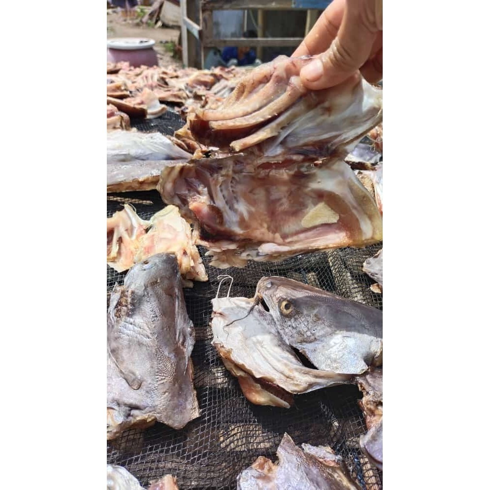 

Tulang kepala ikan asin jambal roti per 1/2 kg