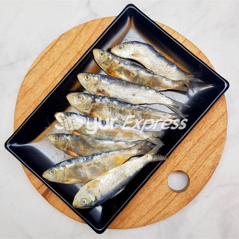 

LANGSUNG KIRIM Ikan Asin Tembang 100gr SIAP MASAK
