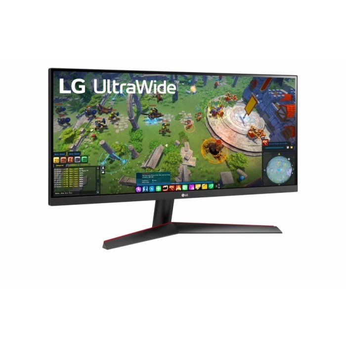 LG 29WP60G-B Monitor UltraWide™ Full HD HDR IPS