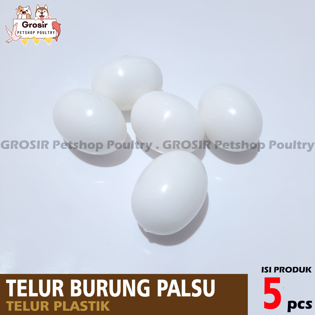 TELUR BURUNG MERPATI SIMULASI 5 PCS | TELUR PALSU MERPATI | TELUR MAINAN BURUNG MERPATI