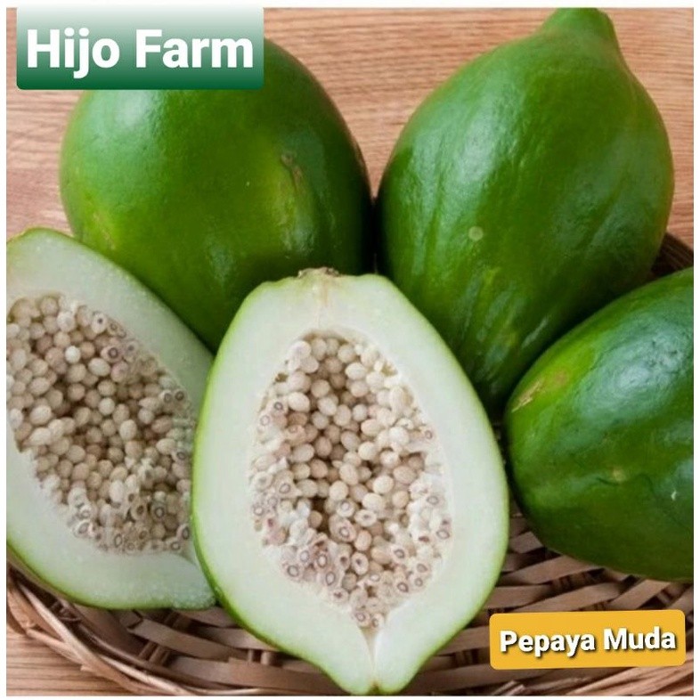 

Buah Pepaya Muda 1 Butir