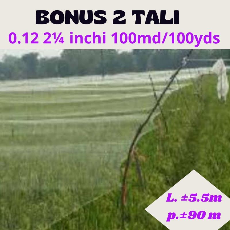 PROMO. JARING SAWAH 2¼ IN 100/100 LEBAR 5.5 METER PANJANG ±90 METER JARING PENGAMAN PADI JARING BURU