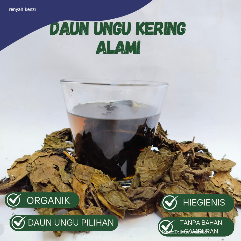 

Daun Ungu Kering Pilihan Kualitas Premium