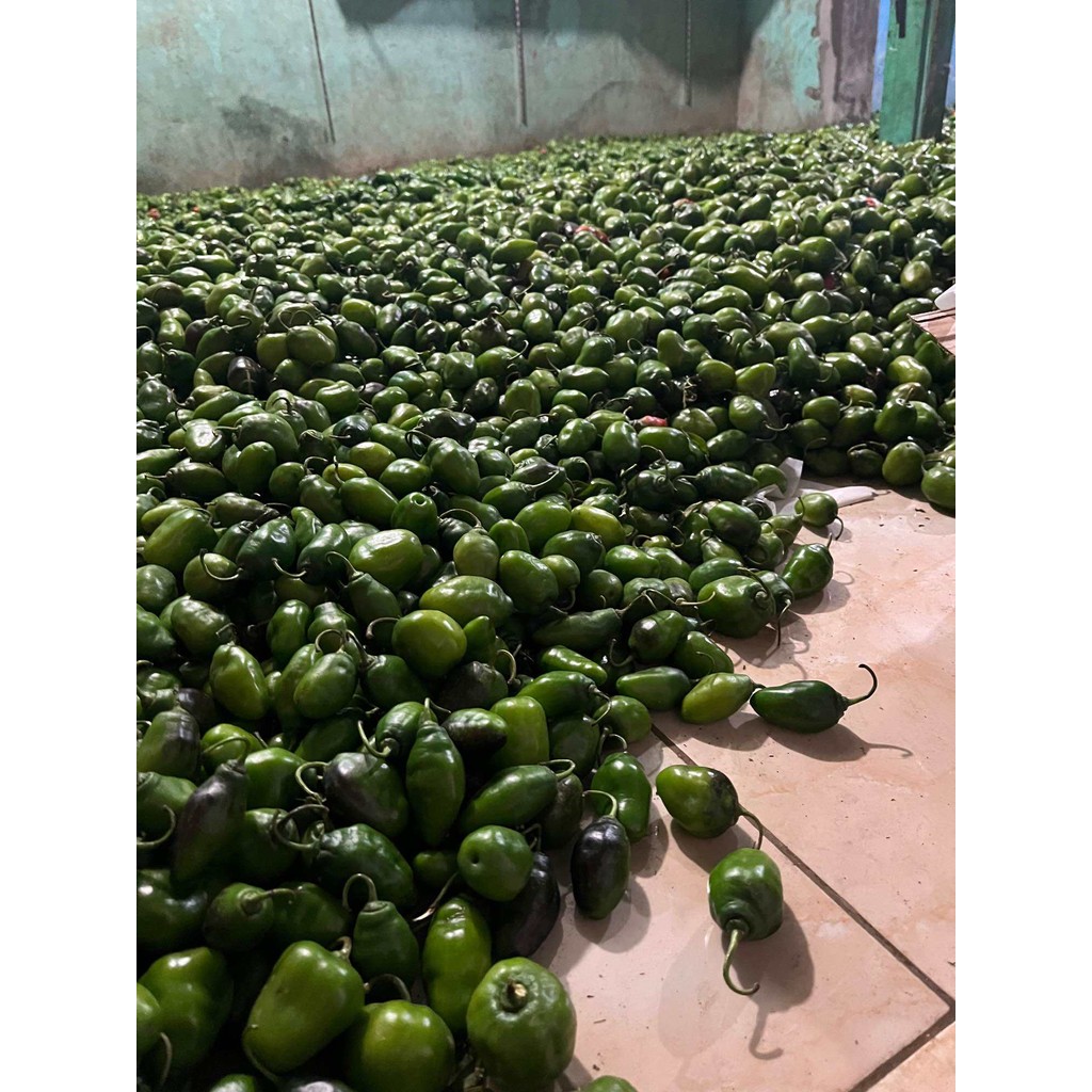 

PROMO Cabe gendot 1kg