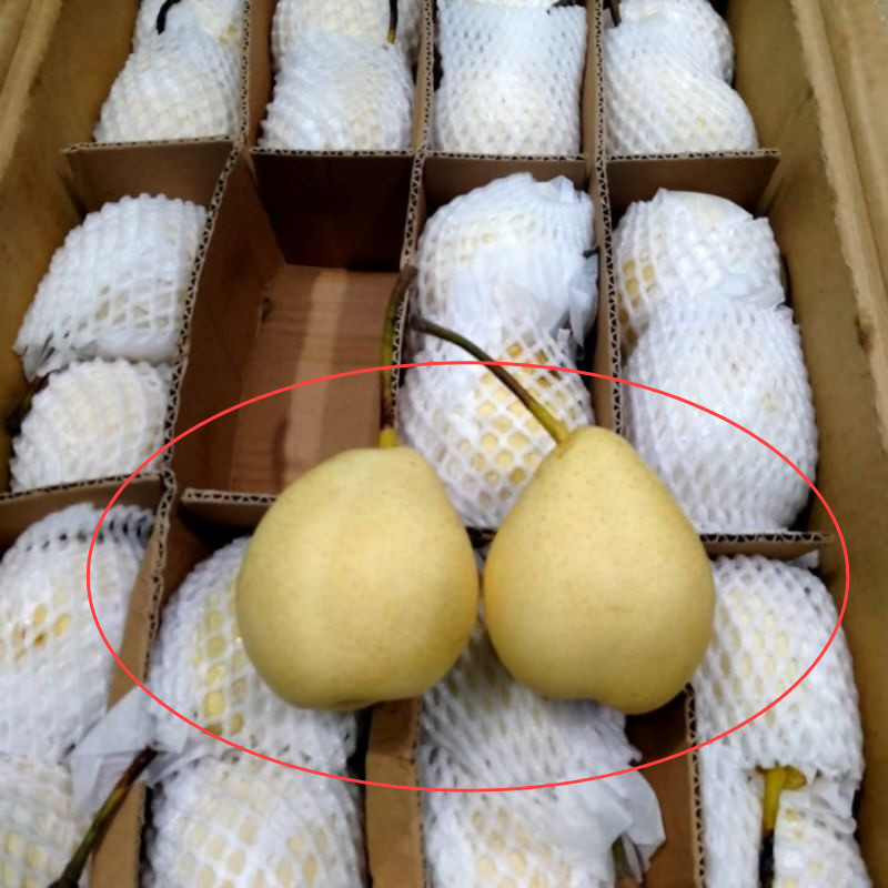 

Pear Century 500gr
