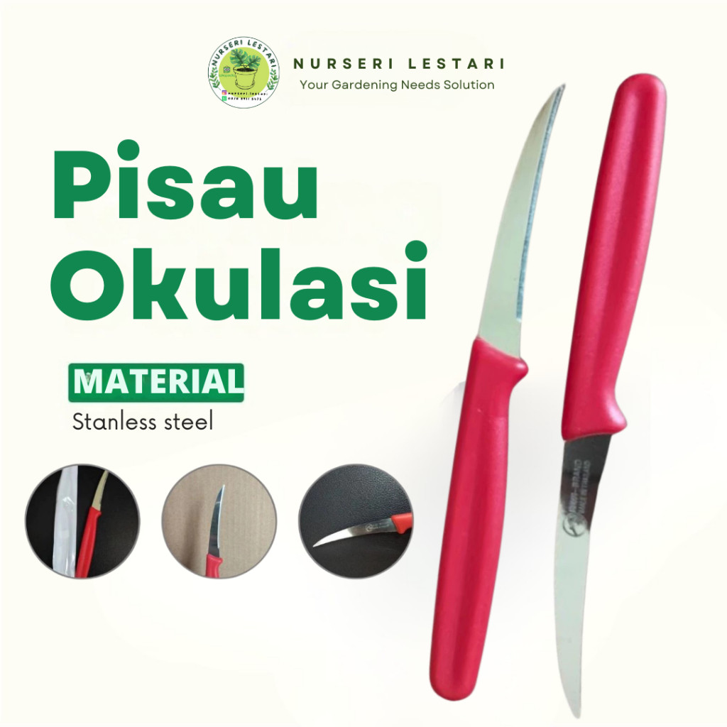 Pisau Tanaman Grafting Okulasi Alat Potong Dahan Bahan Stainless Steel Premium