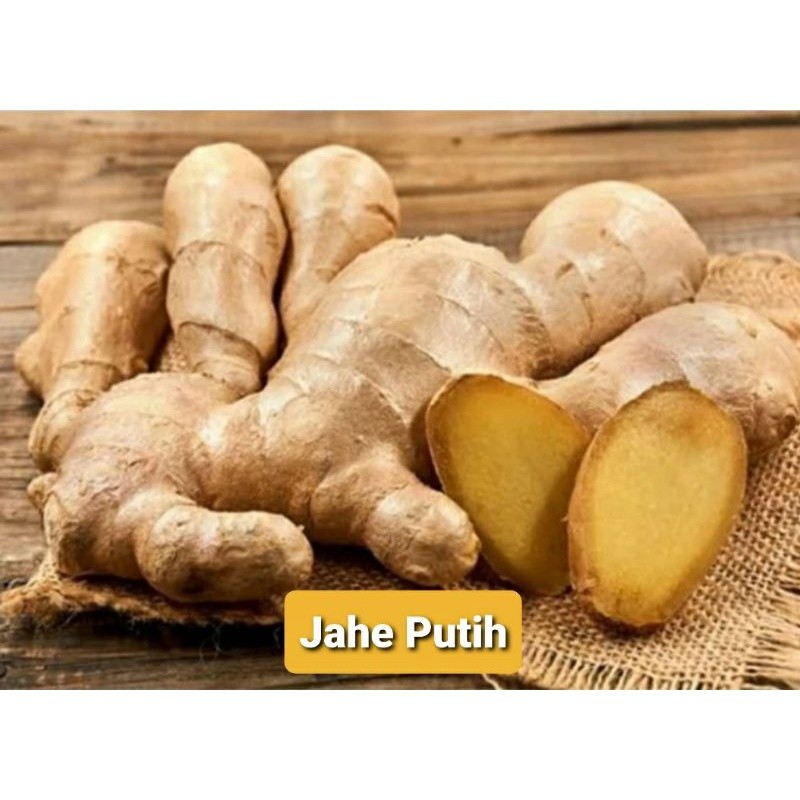 

Jahe Gajah (Putih) 500 Gr