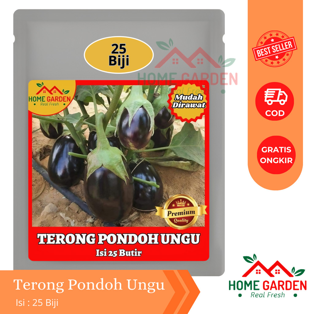 Benih Bibit Terong Pondoh Ungu 25 Biji Super Tahan Penyakit dan Produksi Tinggi