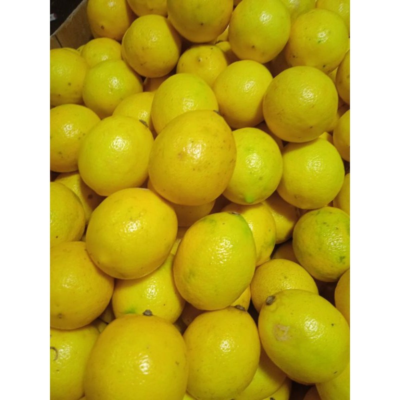 

LEMON SEGAR 1KG