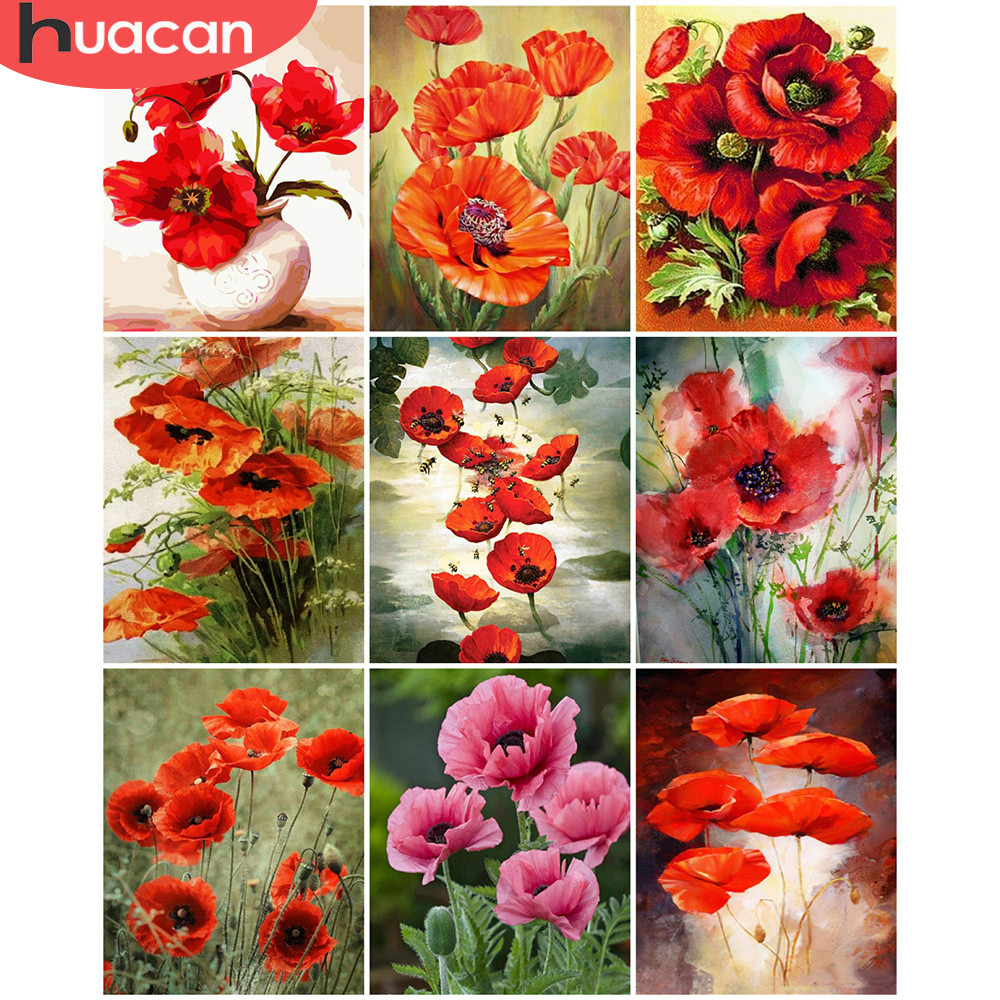 

HUACAN Oil Painting By Numbers Poppy Wall Art Unique Gift Hand Painted Coloring By Numbers Flower Art Home Decoration