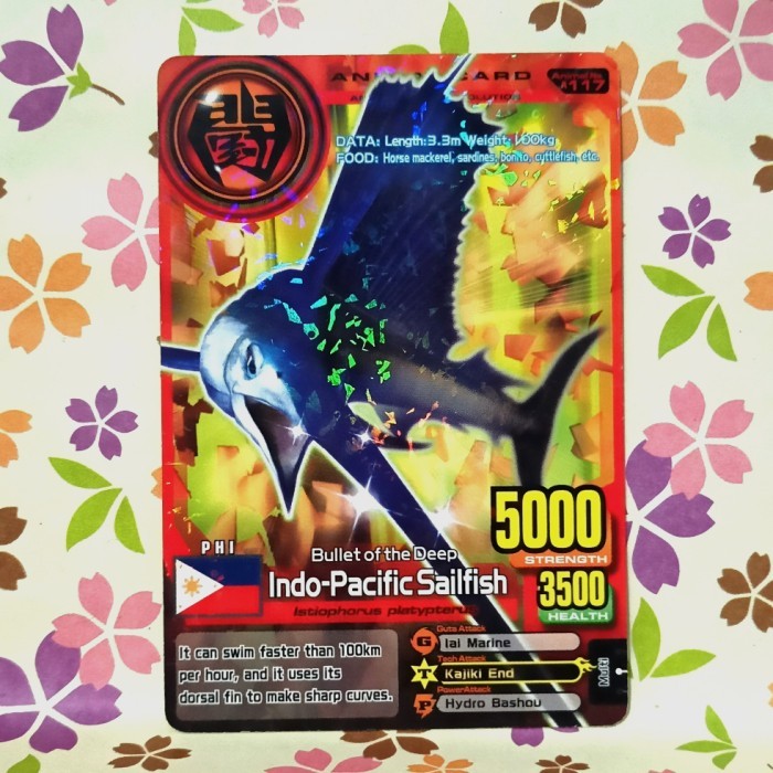 animal kaiser normal indo pacific sailfish evo 2 - bekas