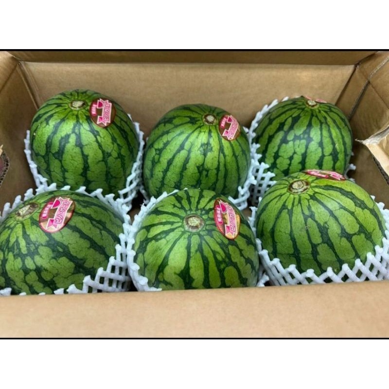 

Buah semangka Exokutif jepang per l buah -+/1,5kg