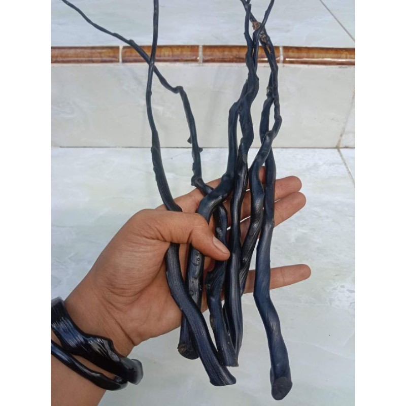 BAHAN GELANG AKAR BAHAR HITAM MERAH ASLI PANJANG