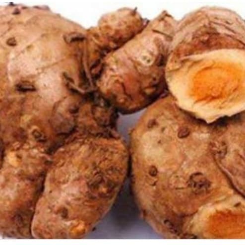 

temulawak segar 1000grm