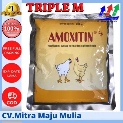 Amoxitin 250 gram MEDION obat korisa