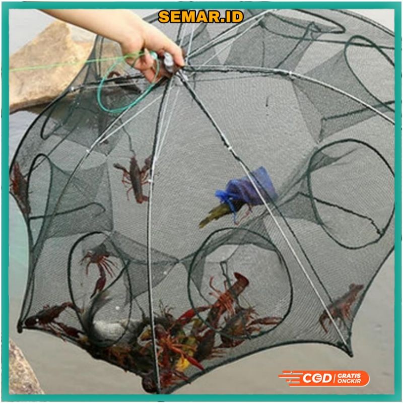 MACC Jaring Pancing Bubu Payung Lipat Kelambu Perangkap Jebakan Ikan Kepiting Udang 2 Sampai 20 Hexa
