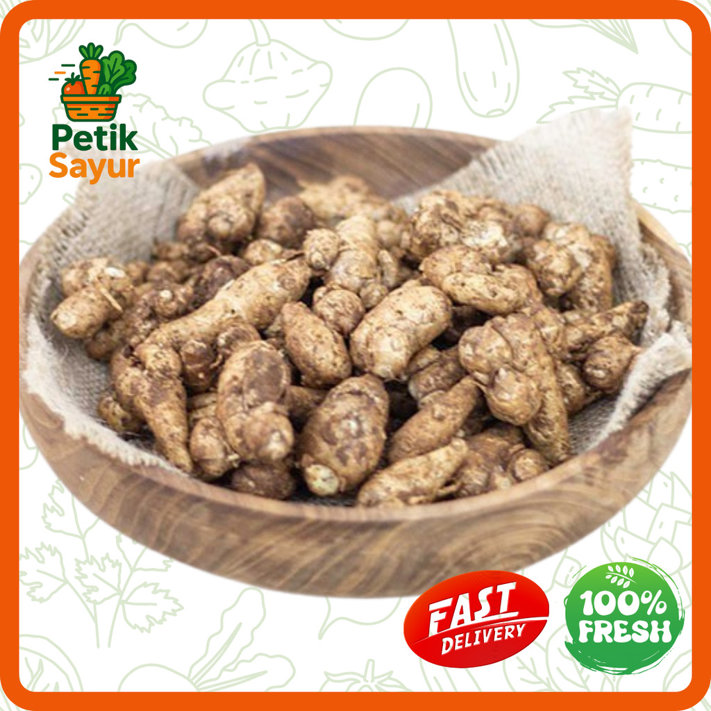 

Kencur Konvensional 100 gram PetikSayur