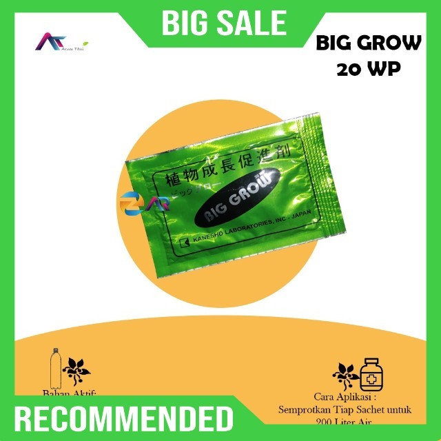 Big Grow 20WP 5GR ZPT