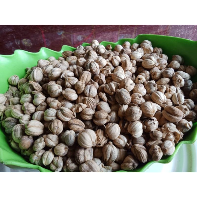 

Kapulaga Kering Sumatra Barat Isi 1kg Bumbu Masak
