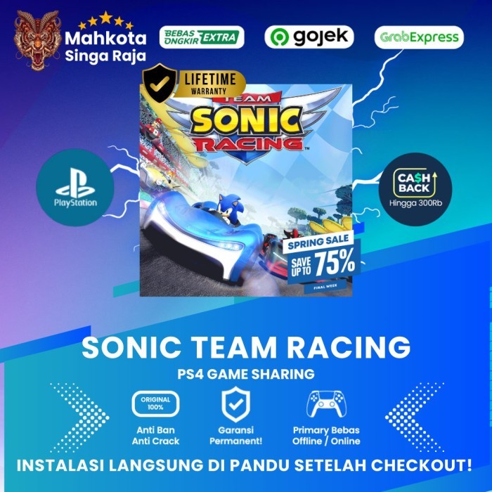 Sonic Team Racing- PS4 - PlayStation4 Game Sharing
