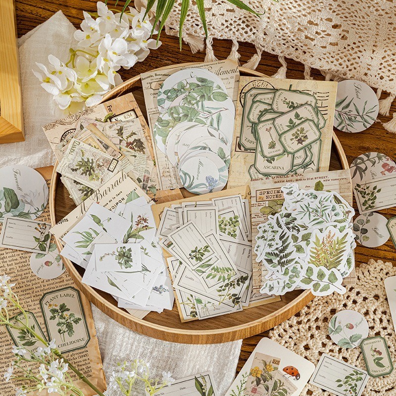 

[Gongjin] 30pcs Deco ORIGINAL STICKER Scrapbook DIY Stiker Bujo Dekorasi Botanical Tanaman