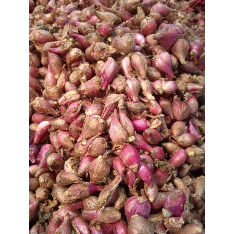 

BAWANG MERAH KECIL 250G