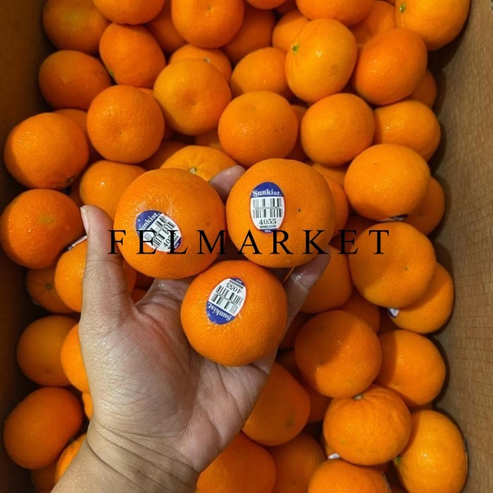 

Jeruk Afourer Mandarine Usa Tanpa Biji / Buah Jeruk Afourer / 1 Kg