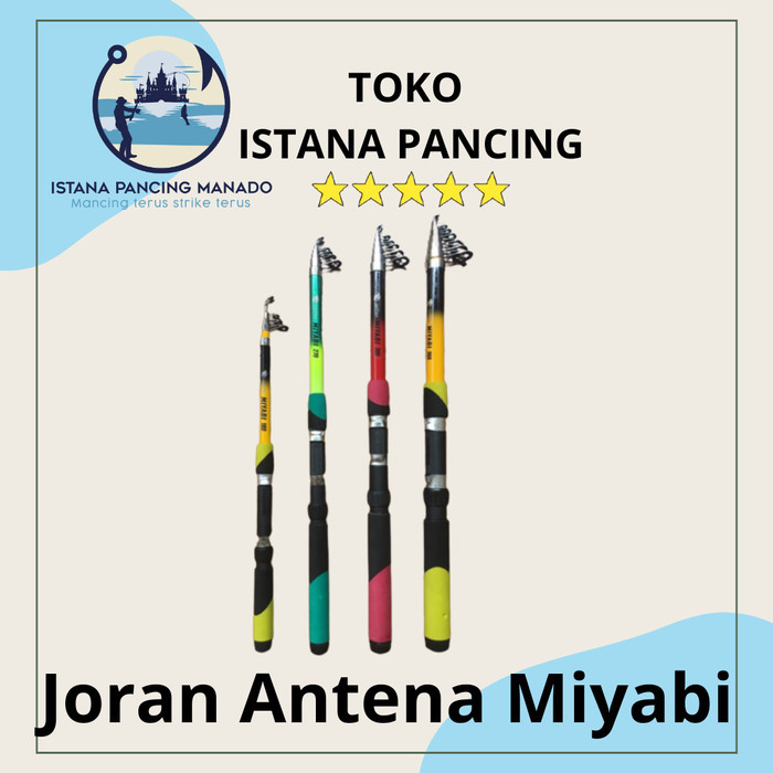 Joran Anten Miyabi 180