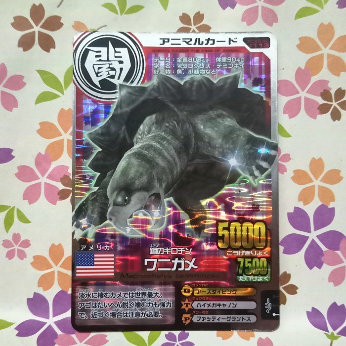 animal kaiser silver alligator snapping turtle versi 12 jepang