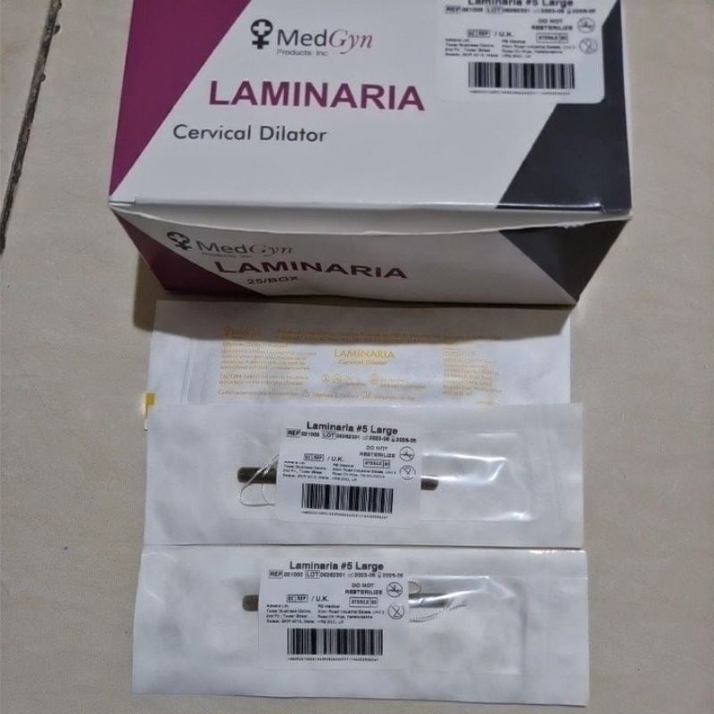 laminaria megzyn ukuran L