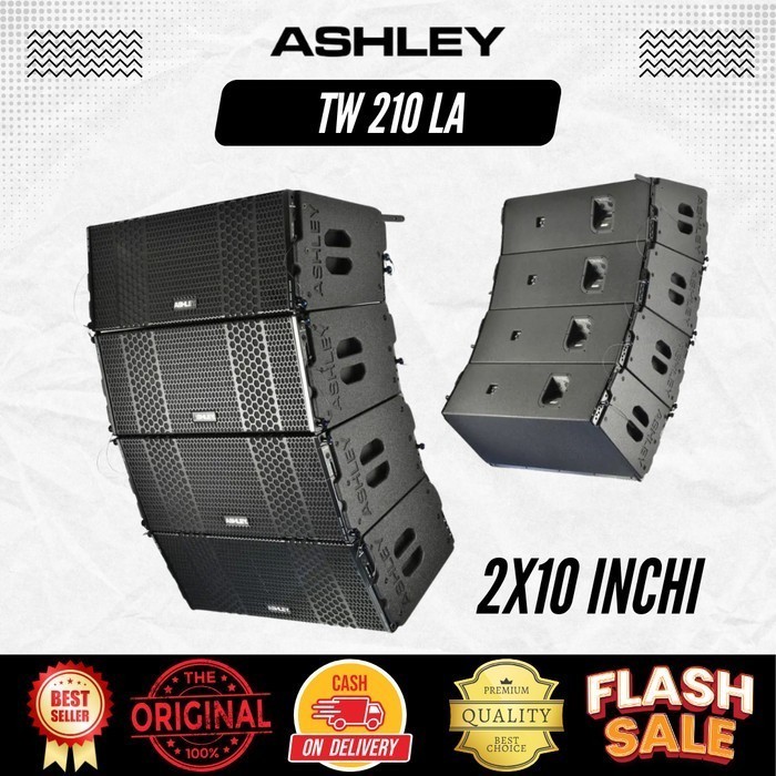 Speaker Line Array Ashley Tw 210 LA
