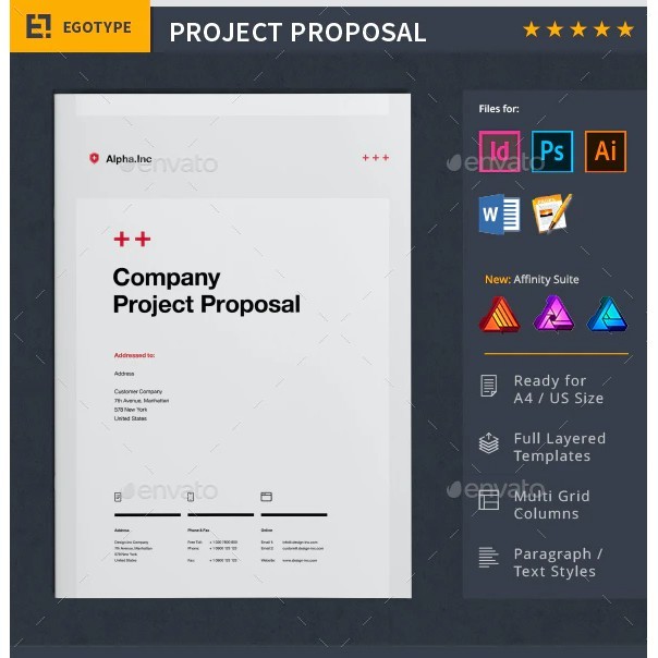 NS Minimal and Professional Project Proposal Template