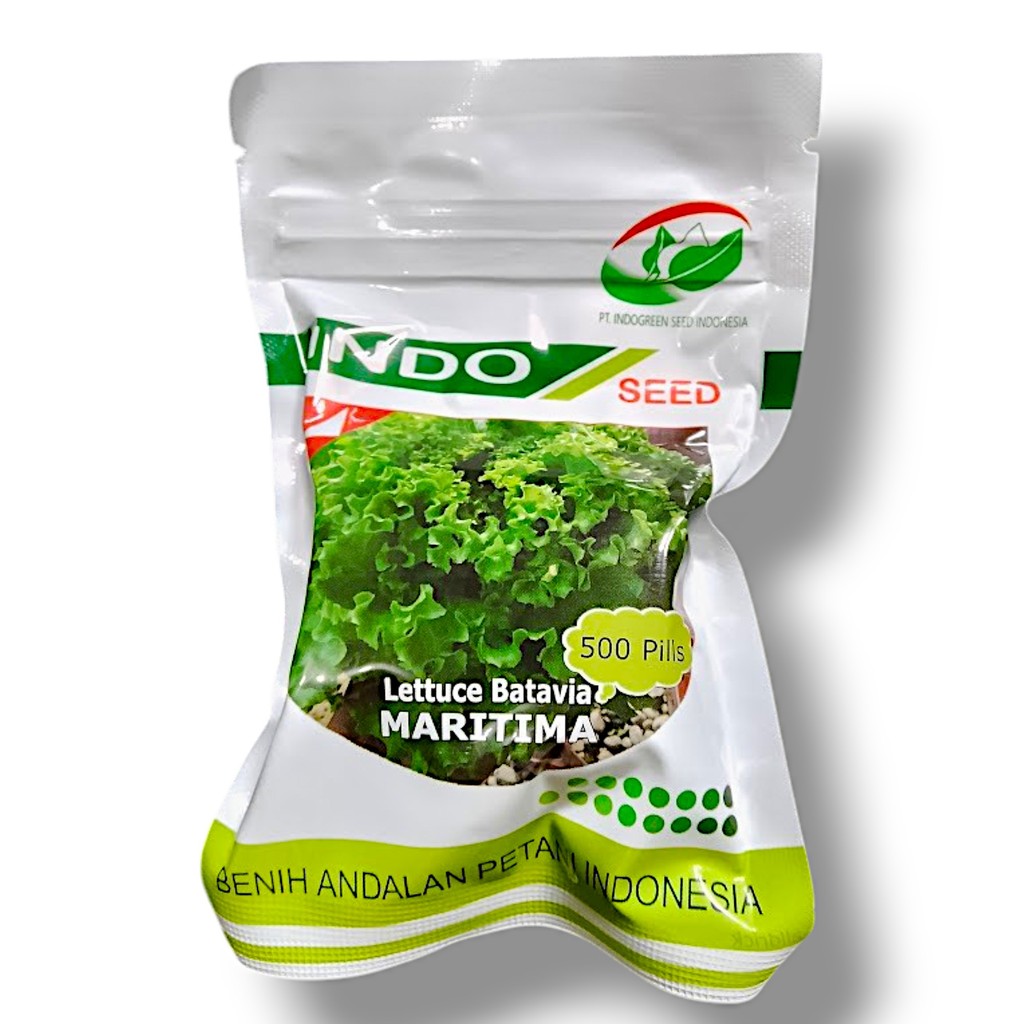 Benih Lettuce Batavia Maritima – Indo Seed (500 Pills)