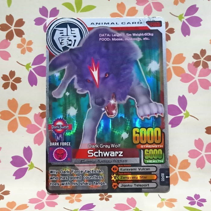 Animal kaiser silver schwarz - evo 8 - bekas