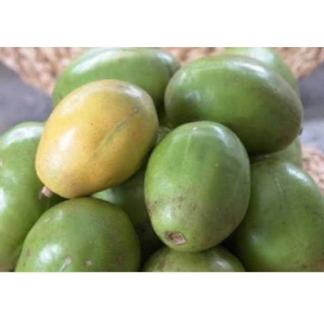 

BUAH KEDONDONG SUPER ud buah tiga saudara