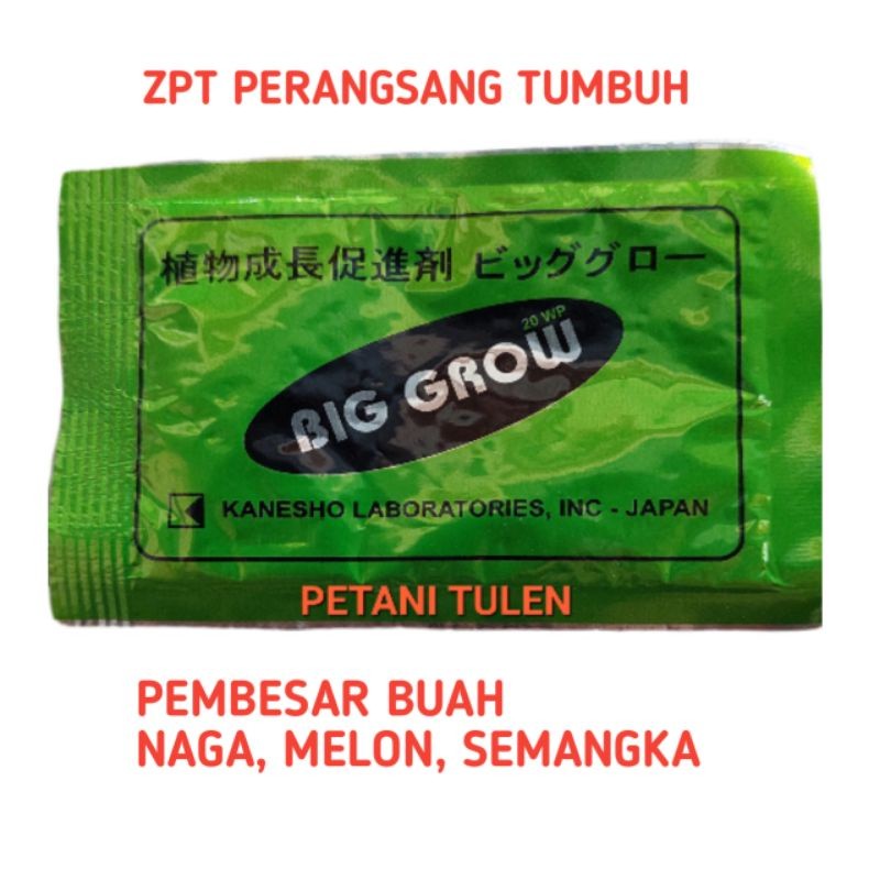 pembesar buah  BIG GROW 20wp