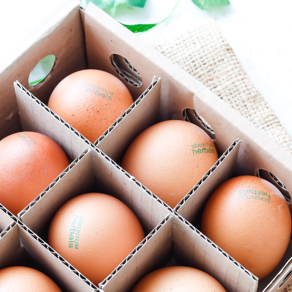 

15 pcs Telur Ayam Sekuntum Herbals - Sekuntum