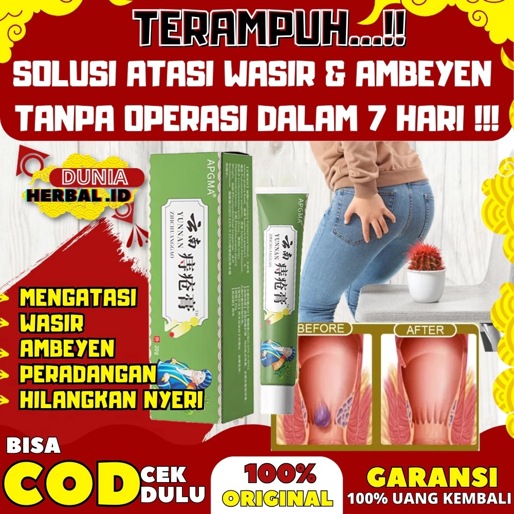 Yunnan Obat Fistula Ani Bisul Di Pantat Bernanah Ampuh Abses Perianal Herbal
