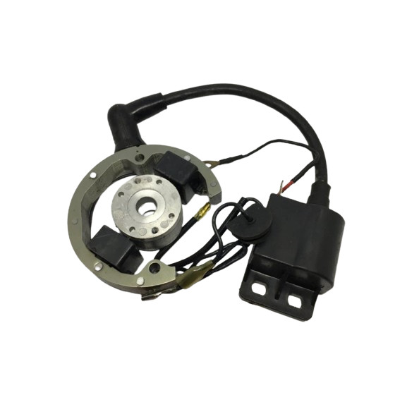 Magnet Motor Trail Minimoto NRG 50-SQ 50 Nitro 50 Gazgas GX 50 SE 50 Racing Kit