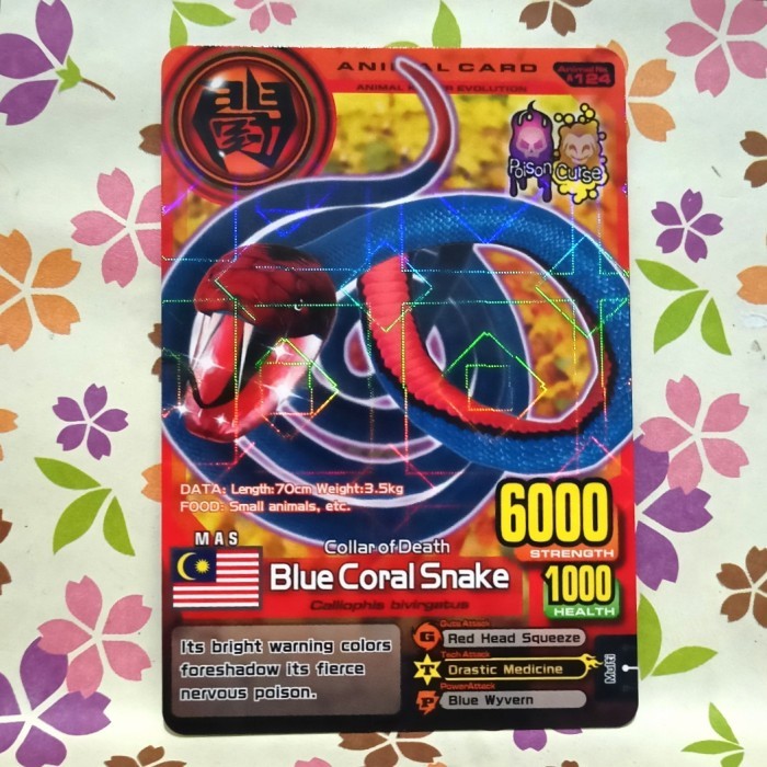 animal kaiser normal blue coral snake evo 8
