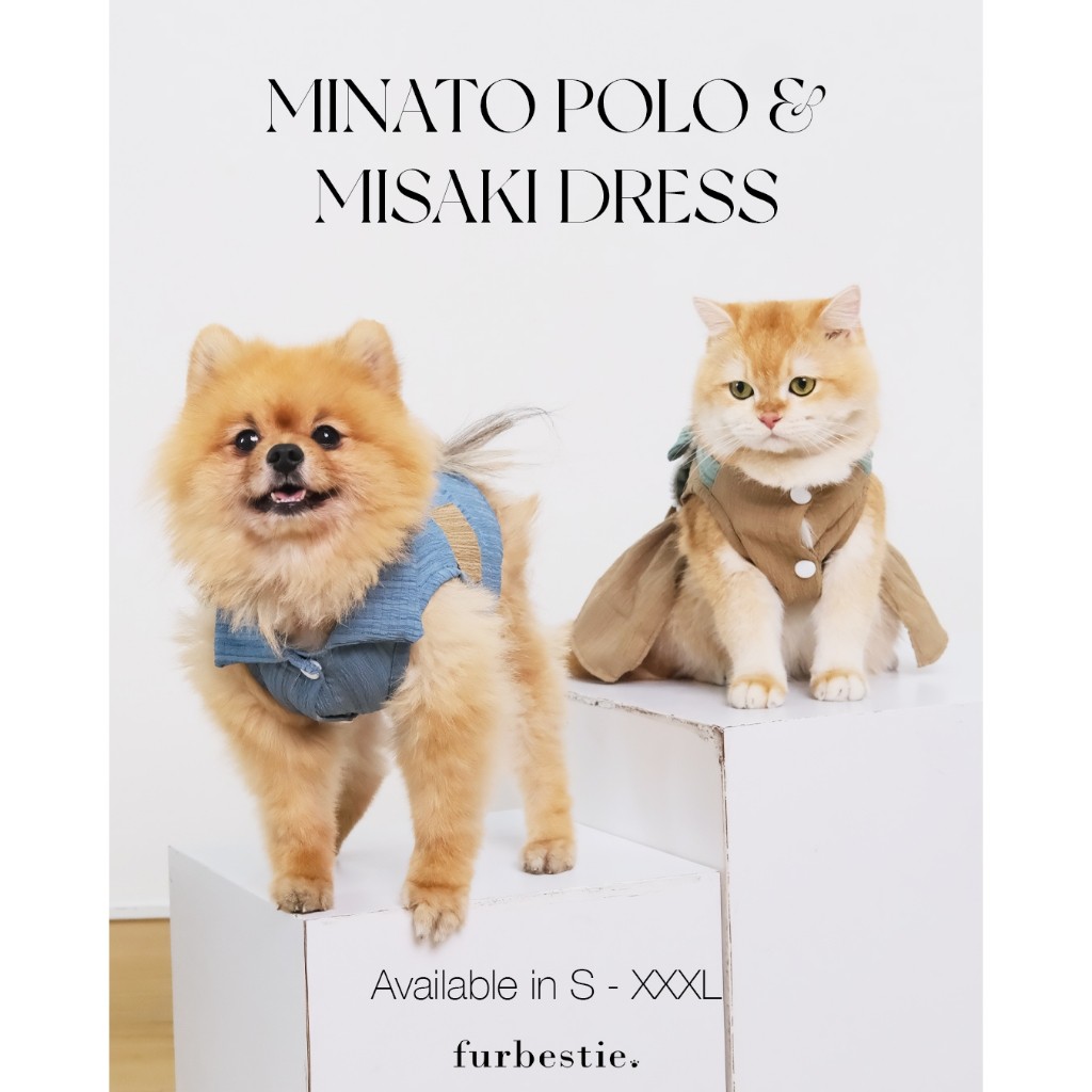 Furbestie - Baju Anjing dan Kucing Misaki Dress dan Minato Polo
