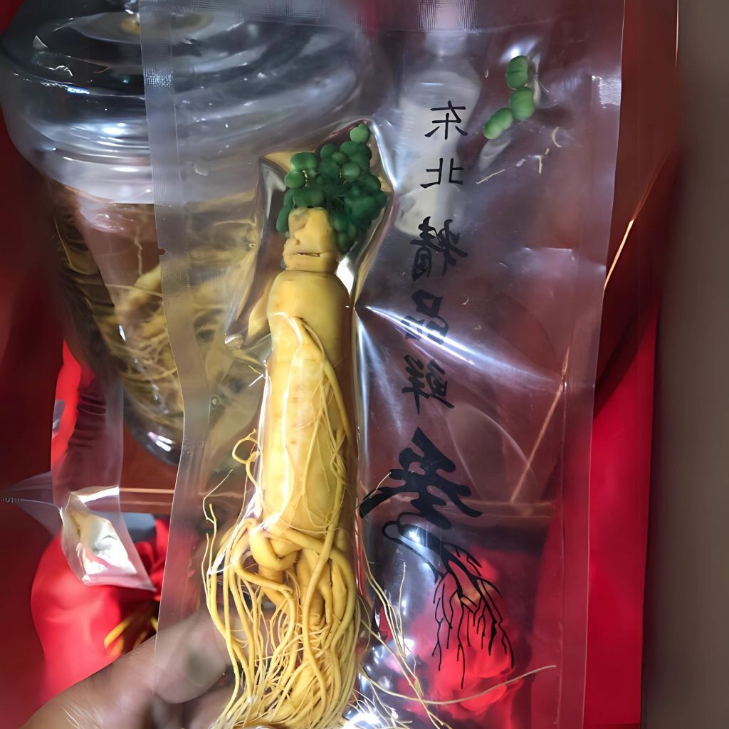 

(100gr) Ginseng Fresh Asli Pegunungan Changbai / Ginseng Import / Ginseng Segar