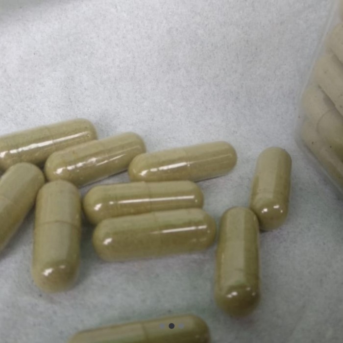 

Kapsul Cacing Lumbricus 100pcs Dijamin aman Dan Penuh Manfaat