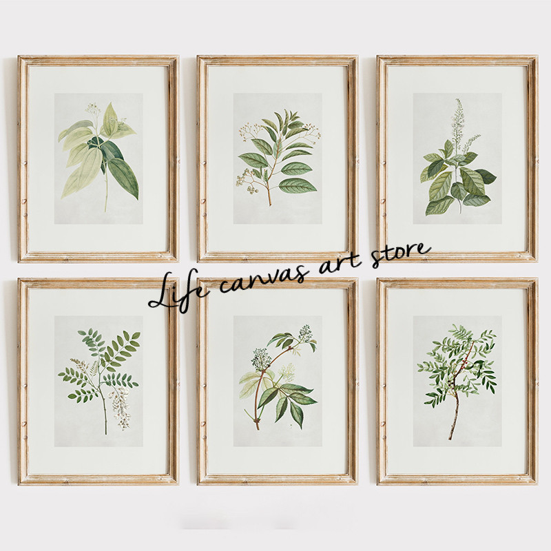 

Antique Botanical Vintage Plant Drawing Farmhouse Kitchen Art Poster Canvas Painting Wall Prints Picture for Room Home Decor