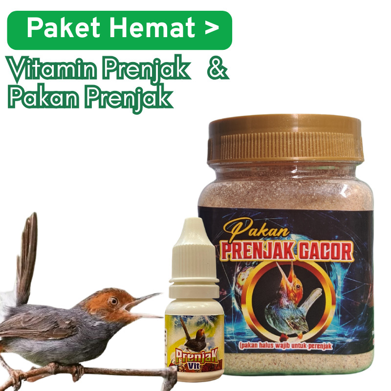 Paket Prenjak Gacor Seketika Vitamin Prenjak dan Pakan Prenjak Penggacor