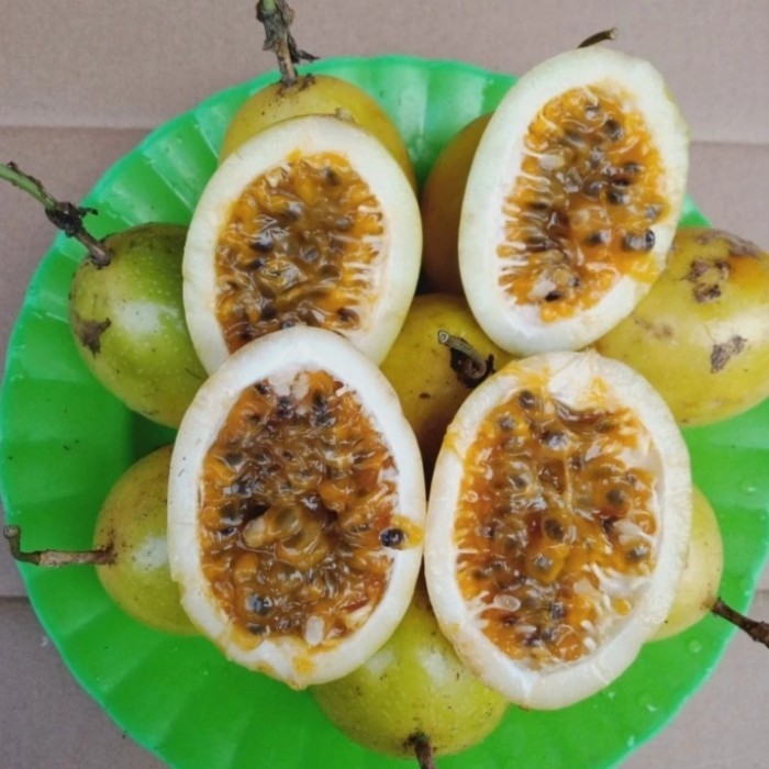 

Buah markisa matang presh 1 kg