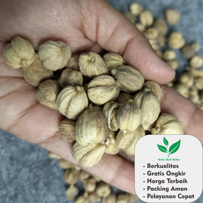 

1 Kg kapulaga kapulogo kering kapolaga kapologo jawa original Murni Tanpa Pemutih