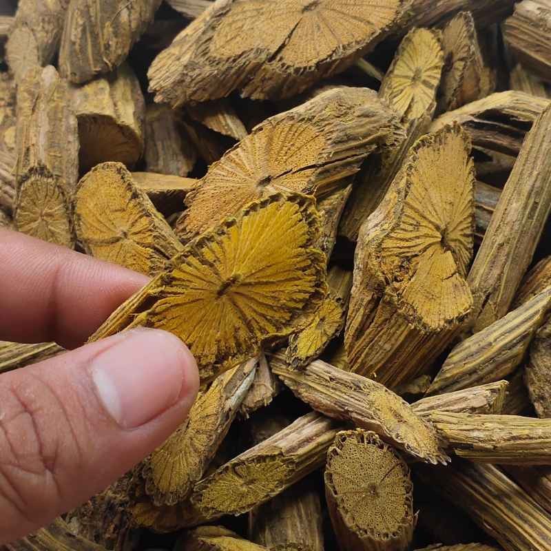 

Akar Bajakah Kuning 250 gram kering