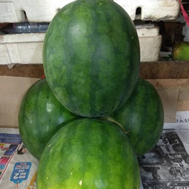 

BUAH SEMANGKA MERAH NON BIJI ud buah tiga saudara