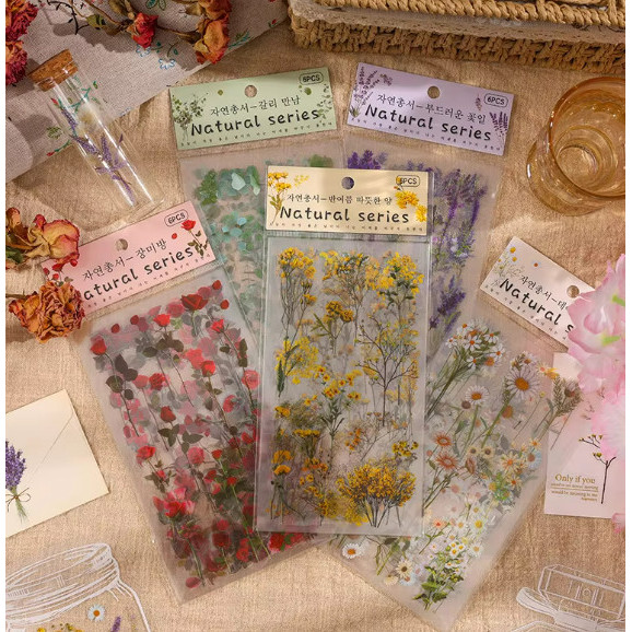 

6 Lembar Sticker Bunga & Daun Plants PET Transparant Sticker Vintage Flowers Gwiyeo